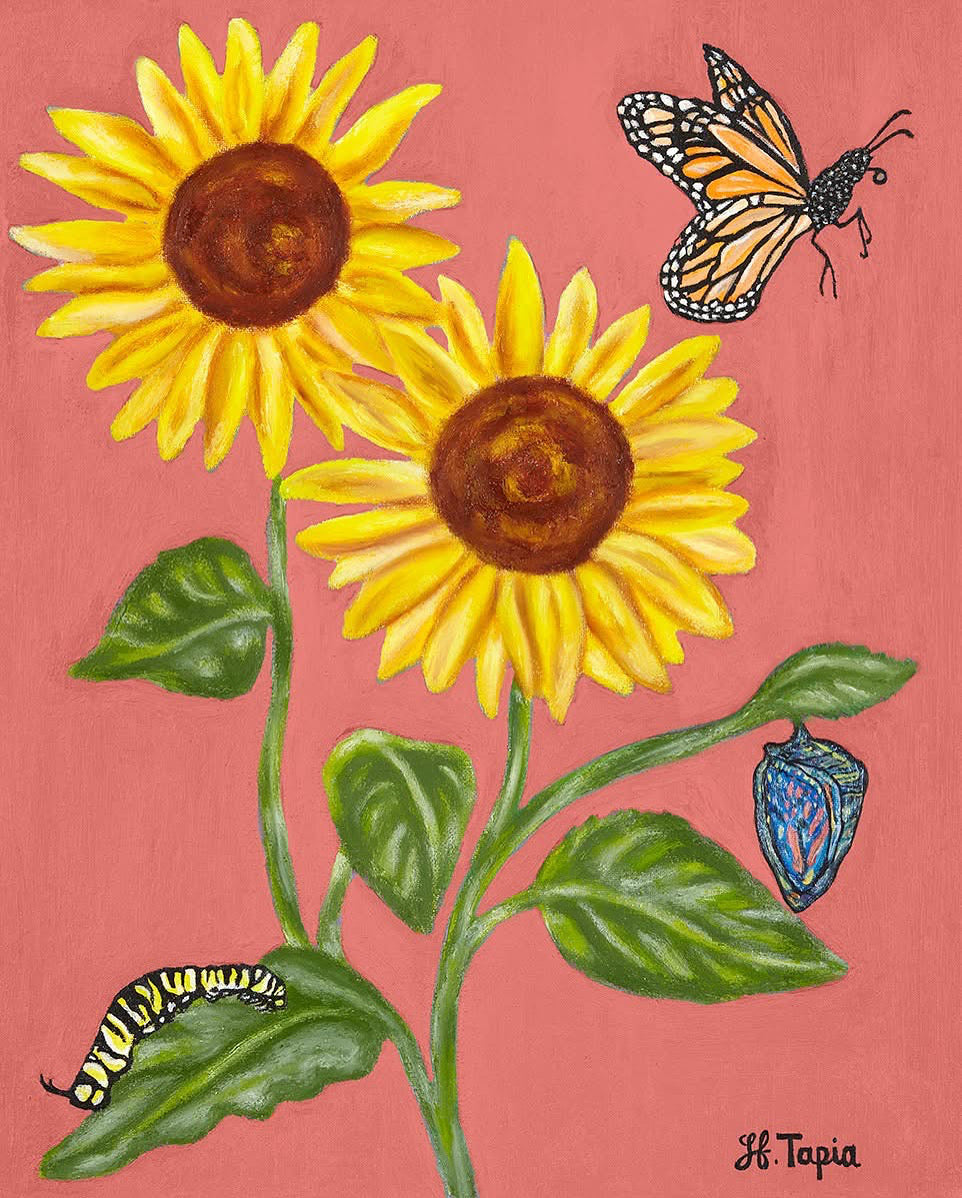 Sunflower ornament with coral background (rectangle shape)