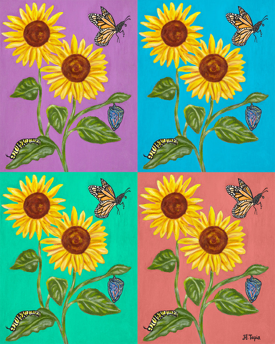 An explosion of sunflowers