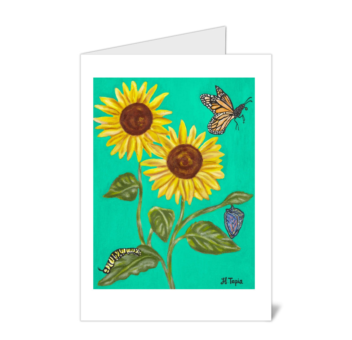 Sunflowers with green background note card