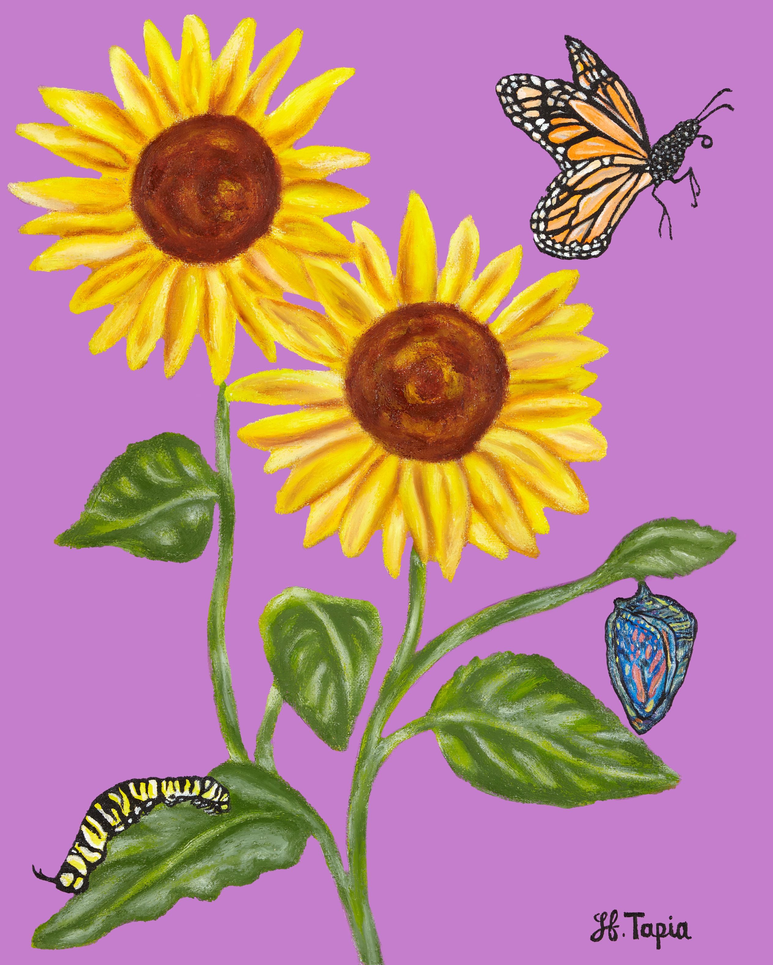 New Beginnings print