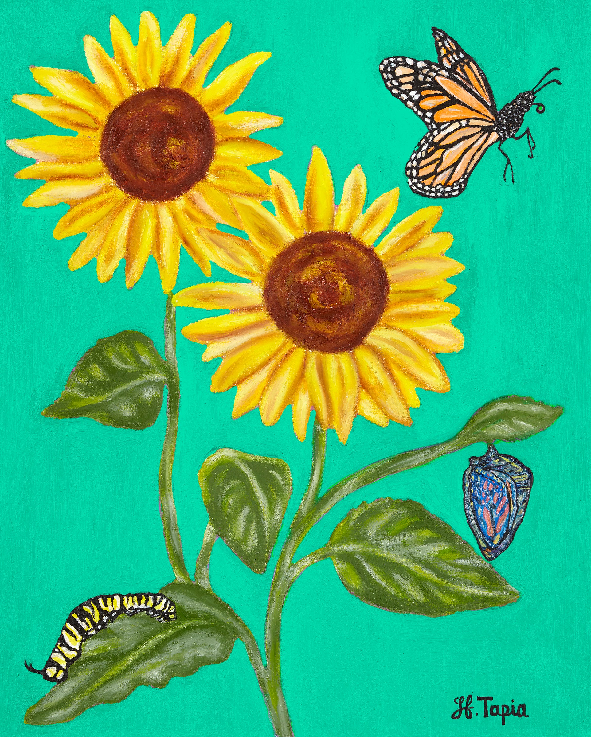 Sunflower tote bag with bright green background.