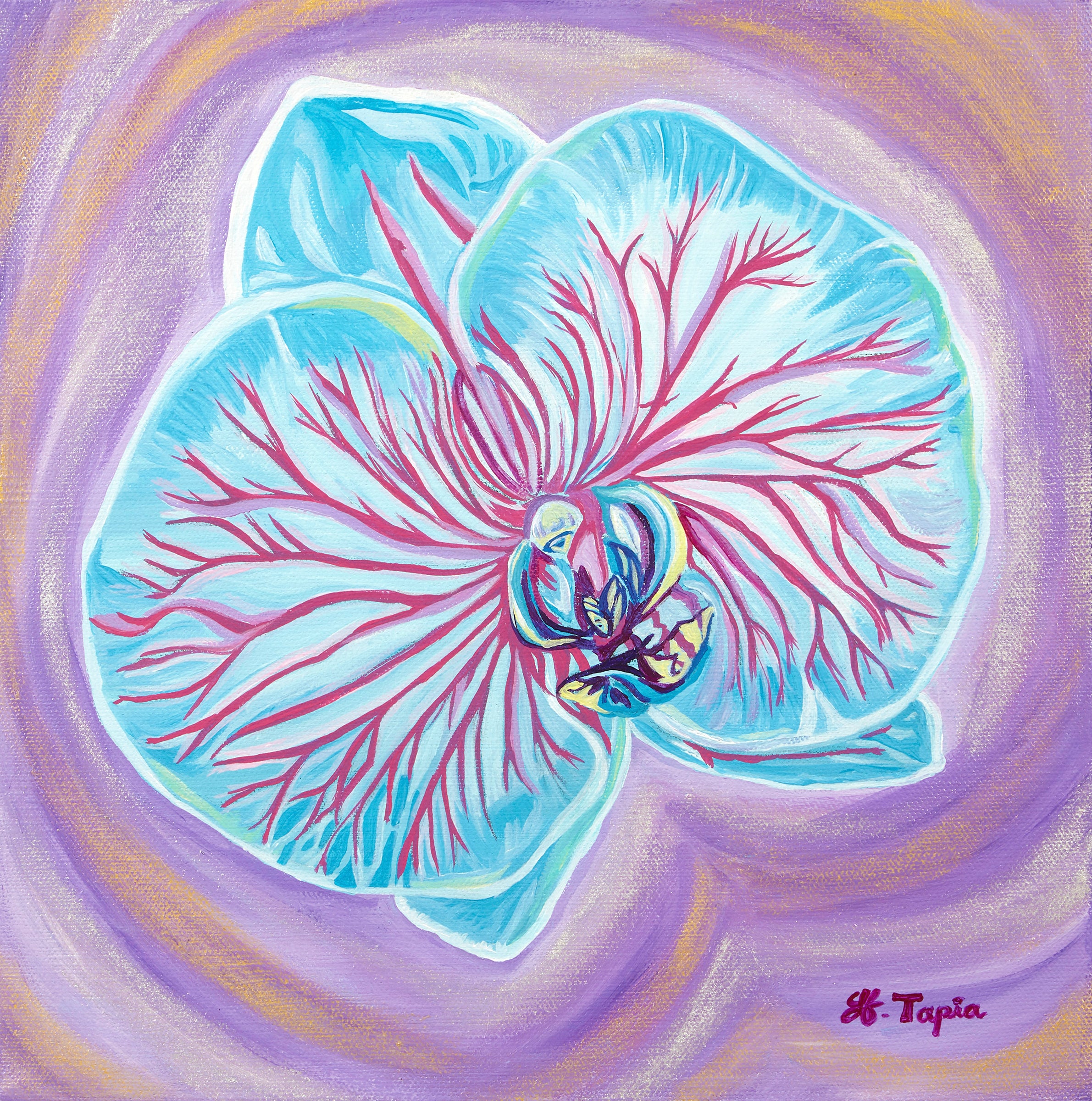 Blue Orchid paper print