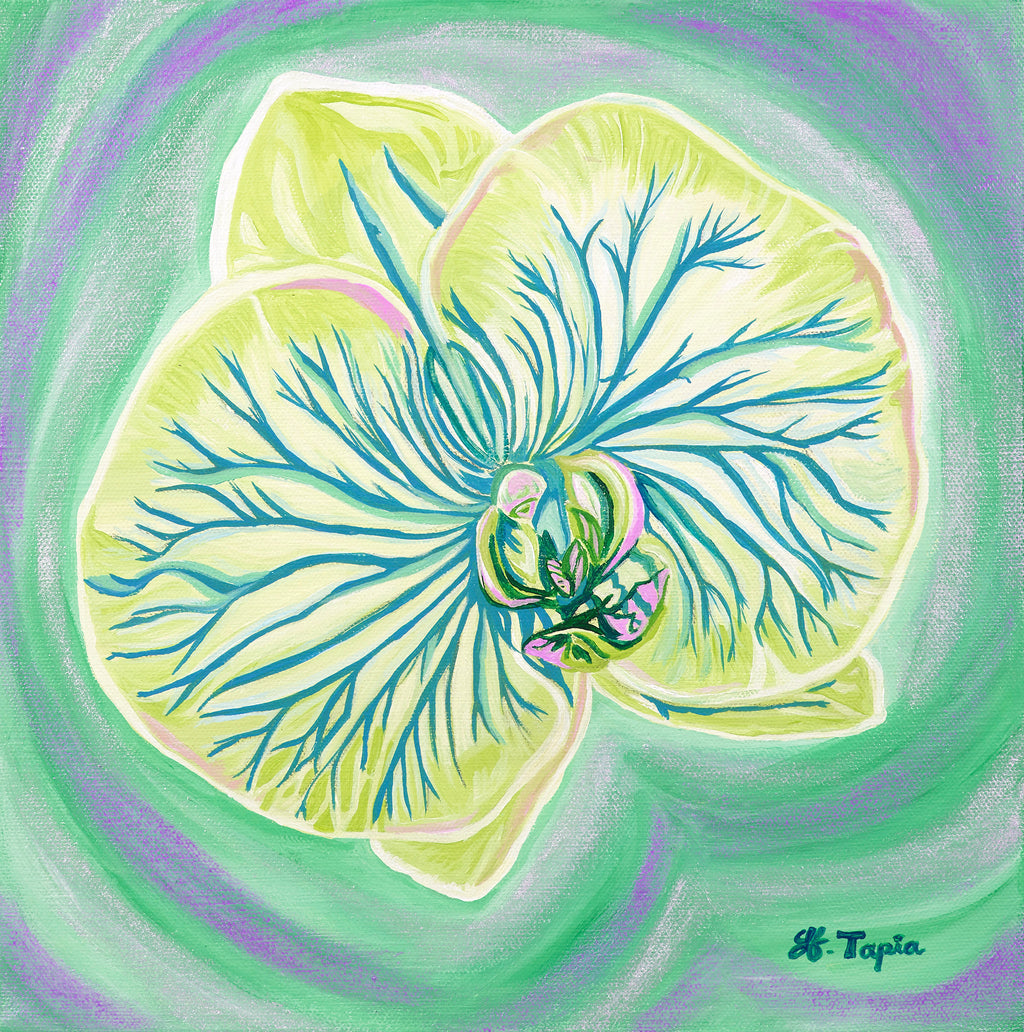 Garden Avenue Series flower prints