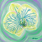 Garden Avenue Series flower prints