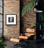 Framed, Mixed Media drawings, 8” x 8” or 8" x 10"