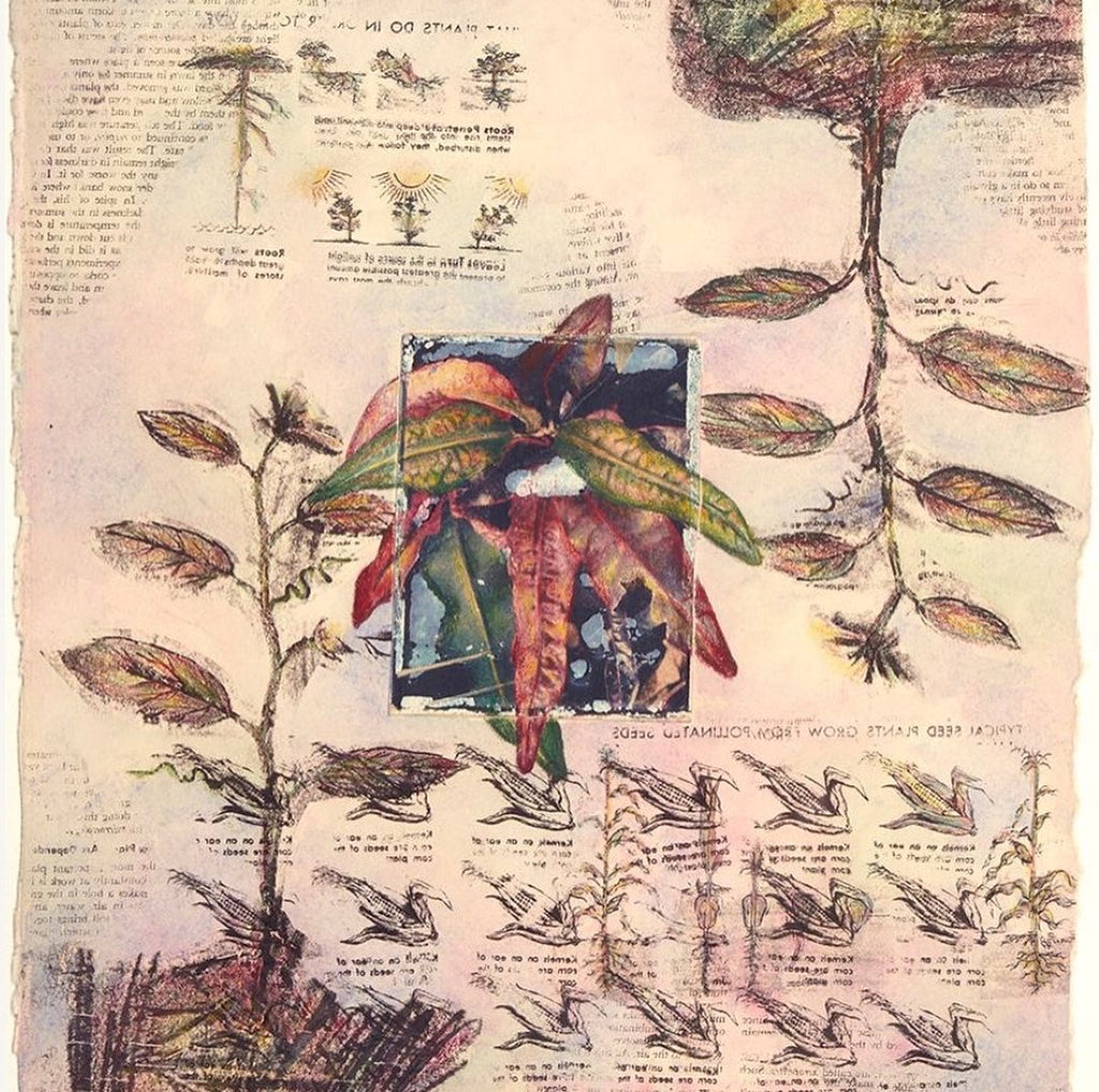 Plant Mixed Media Limited-Edition Print