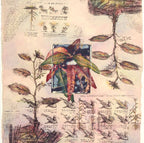 Plant Mixed Media Limited-Edition Print