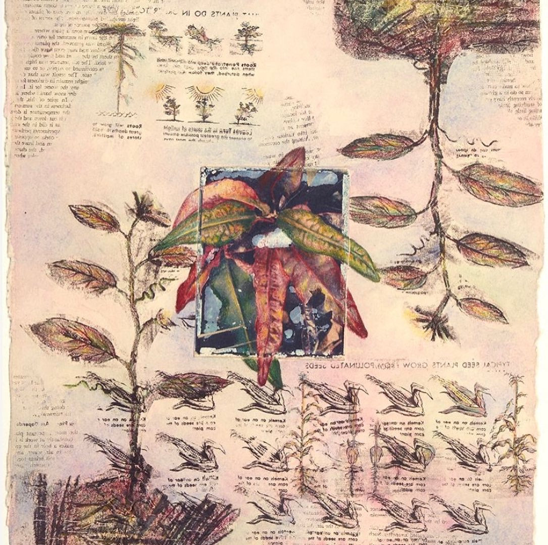 Plant Mixed Media Limited-Edition Print