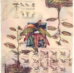 Plant Mixed Media Limited-Edition Print