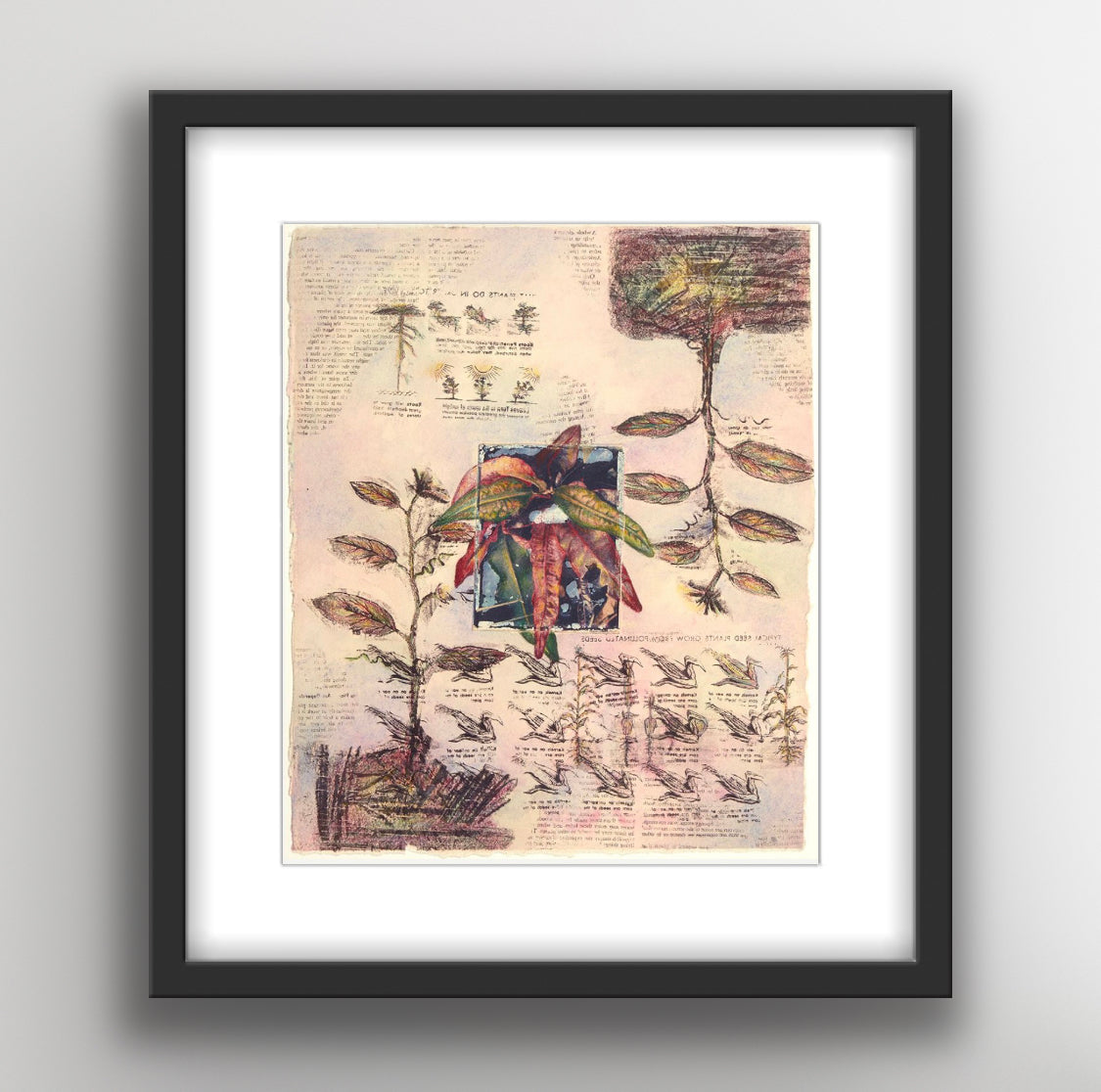 Plant Mixed Media Limited-Edition Print