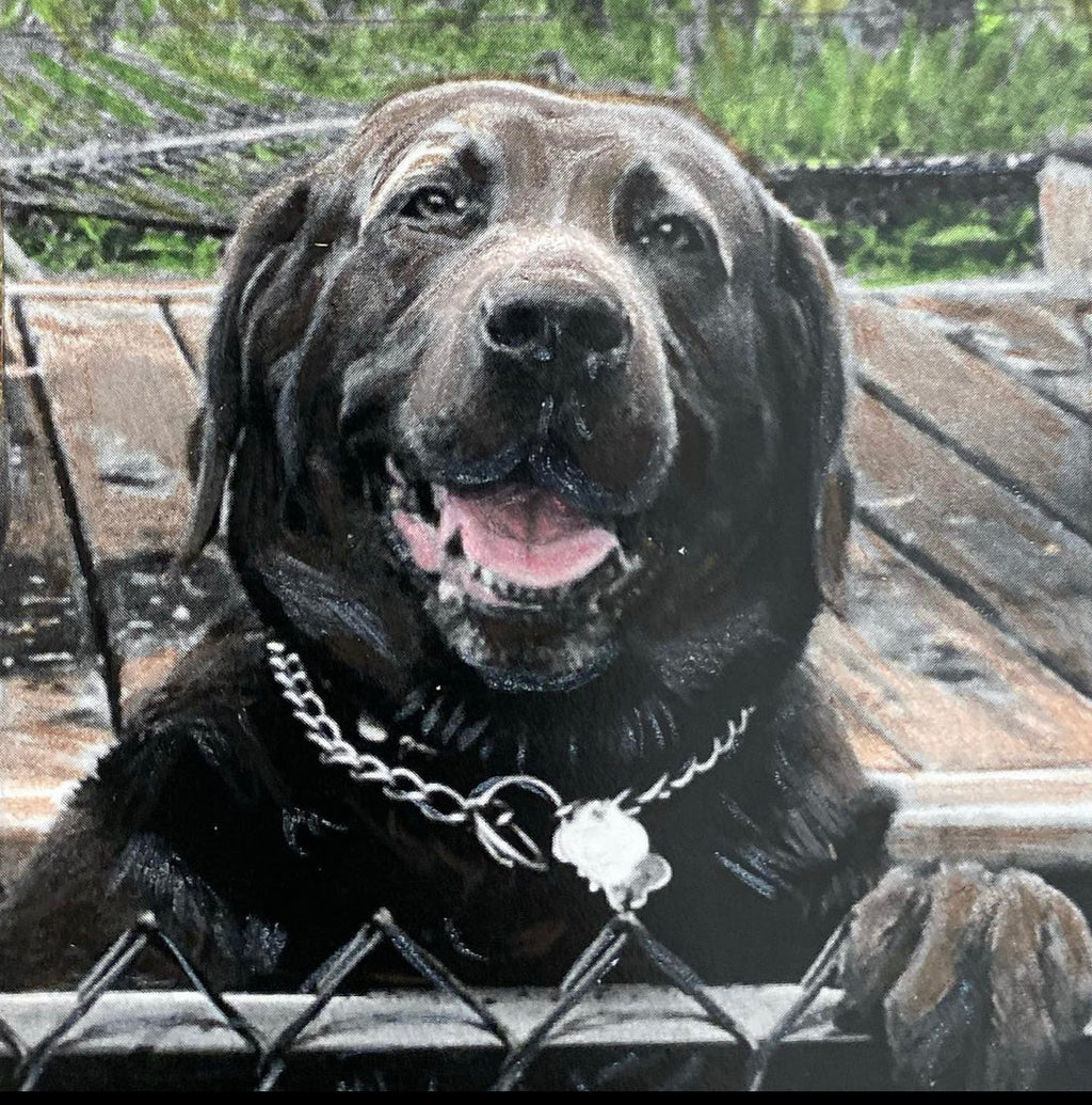 Framed, Mixed Media drawings, 8” x 8” or 8" x 10"