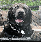 Framed, Mixed Media drawings, 8” x 8” or 8" x 10"