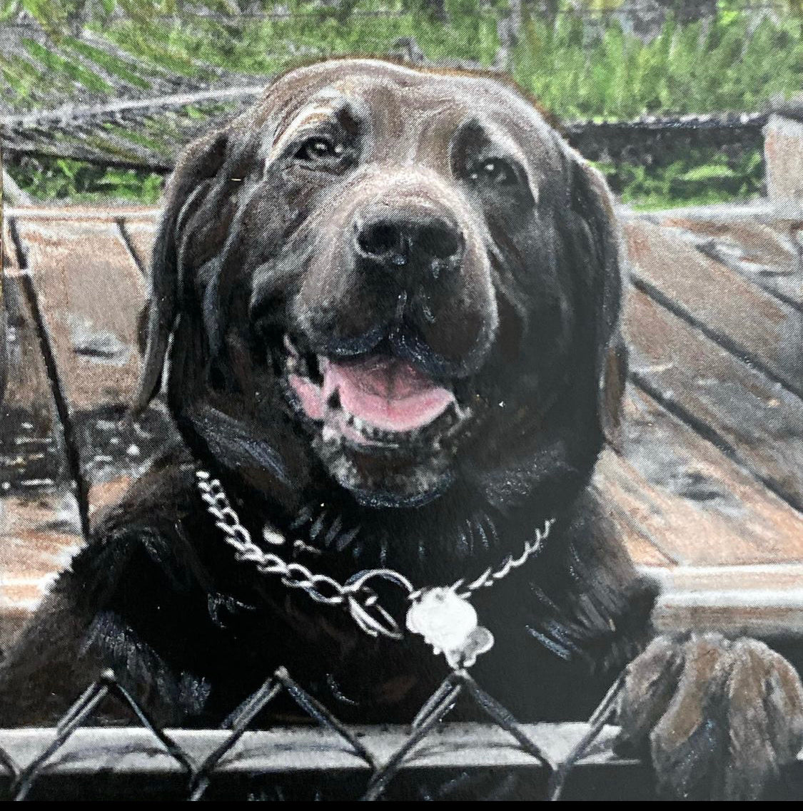 Framed, Mixed Media drawings, 8” x 8” or 8" x 10"